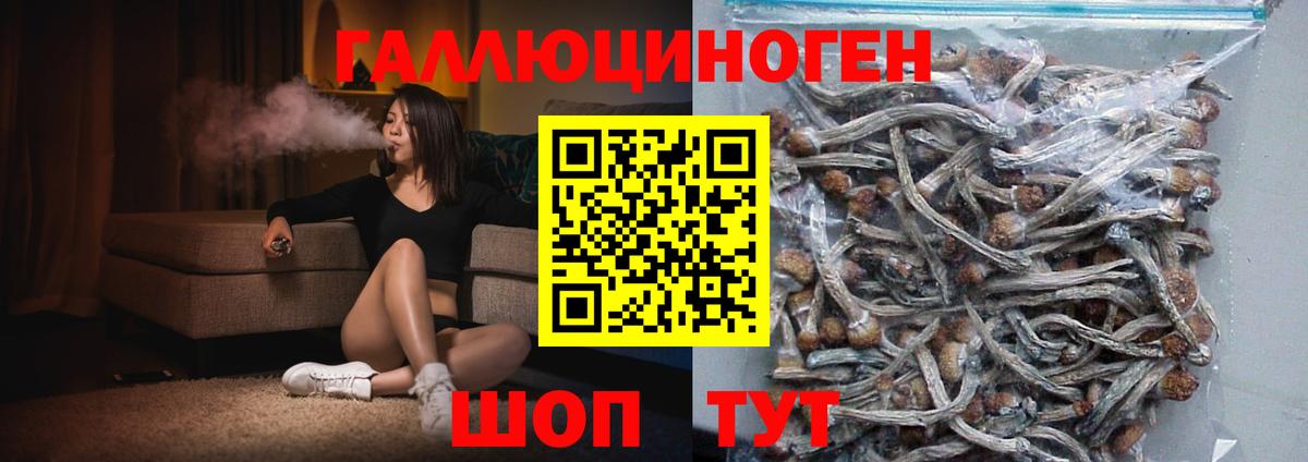 Галлюциногенные грибы мицелий  Вход с VPN  где купить наркотик  Лесной  Псилоцибиновые грибы ЛСД 