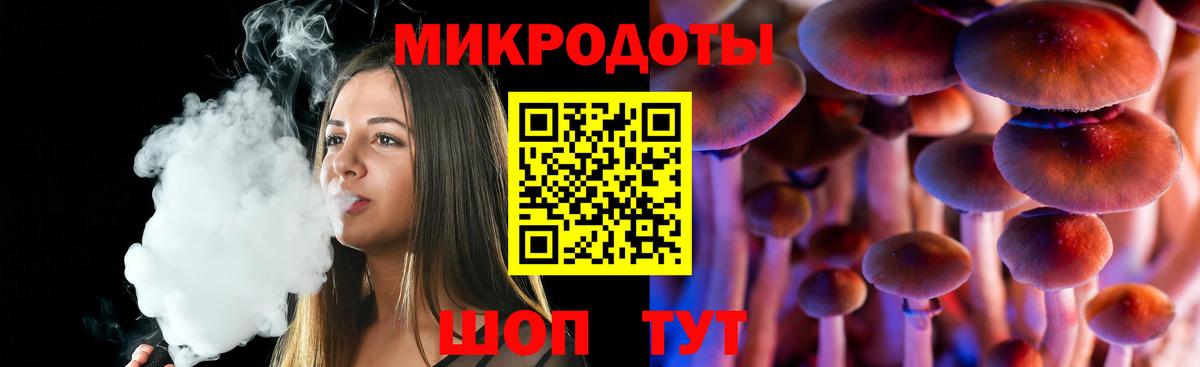 Псилоцибиновые грибы Cubensis Лесной
