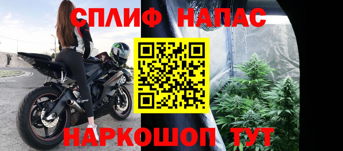 Канабис ГИДРОПОН  Вход с VPN  Бошки Шишки Amnesia  Марихуана семена  Лесной 